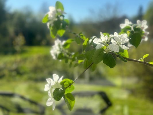 Fint, bekvämt och centralt hus i Höga Kusten - Bild 18