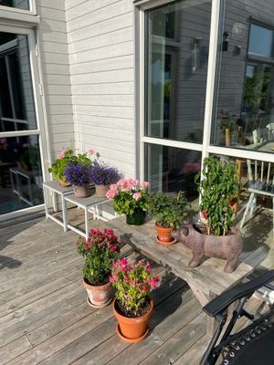 Bild 4 på Löjviken Värmdö. Sjötomt + stor terrass