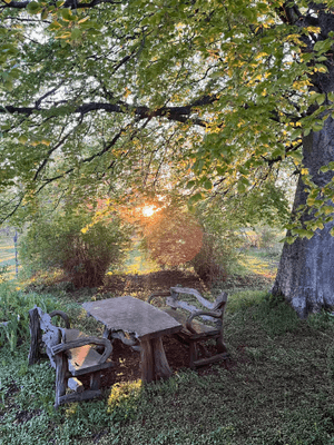 Stort kalkstenshus nära Herta strand Södra Gotland - Bild 40