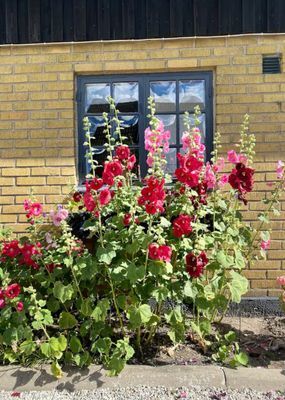 Mysigt hus på landet med närhet till stan. - Bild 14