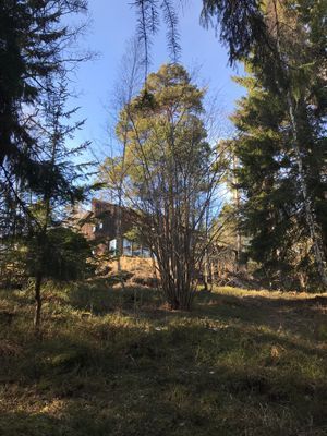 Vår hus på vägen till stranden