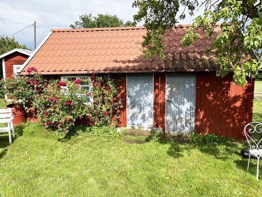 Stuga på Öland med betande får ISE04033 - Bild 20