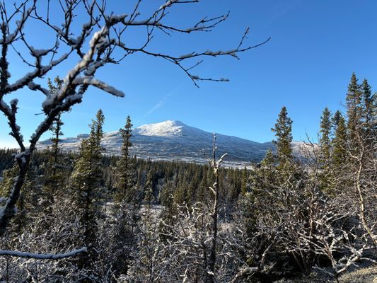 Fjällstuga i natursköna Snasahögarna - Bild 9