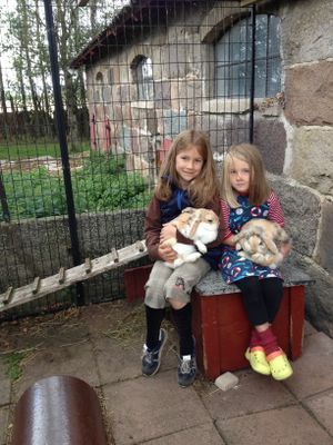 GRÖNA KRUSBÄRSSTÄLLET - Nytt bekvämt hus med charm - Bild 17