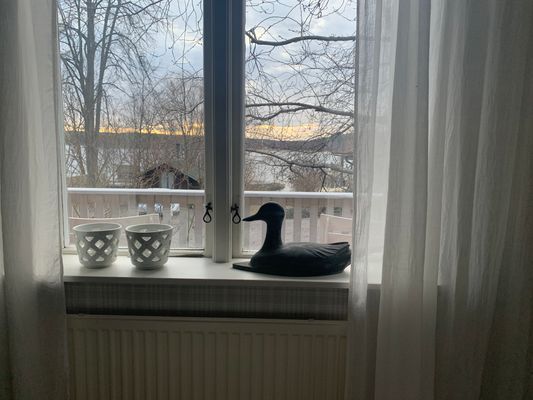 Stockholms skärgård-sjötomt-bastu-40 min.till city - Bild 32
