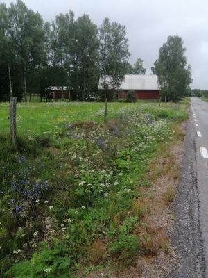 Mysig och nyrenoverad stuga vid sjön Bolmen - Bild 36