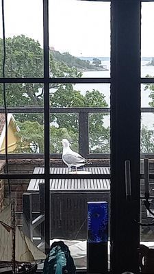 Hus pa klipporna med havsutsikt - Bild 28