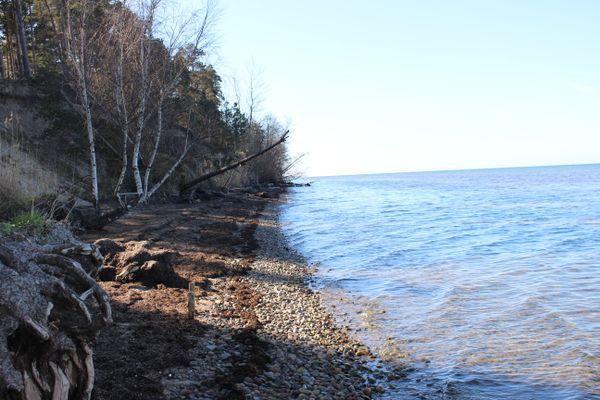 Bild 3 på Lilla sommarnöjet