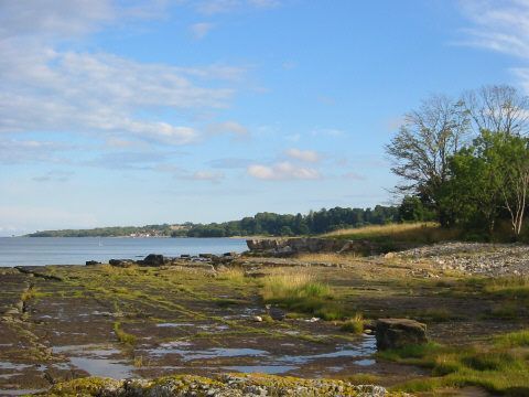VIK Österlen - Unik 1800-tals Fiskelänga uthyres - Bild 46