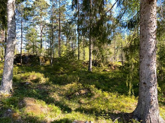 Skärgårdsidyll nära Stockholm – natur och hav! - Bild 38