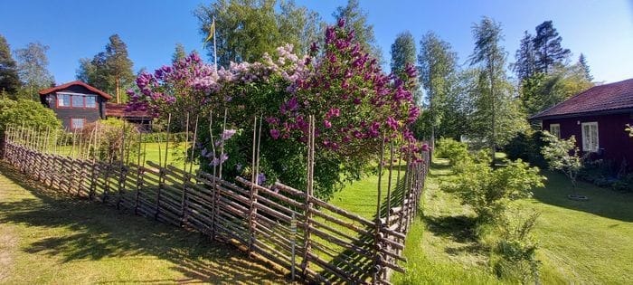 Bild 4 på Stuga med sjöglimt vid Siljan