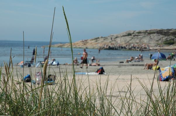 Charmig, äldre stuga i lantligt läge nära havet. - Bild 19