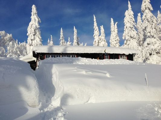 Mysig fjällstuga ski in/out m. Fageråsen/Trysil