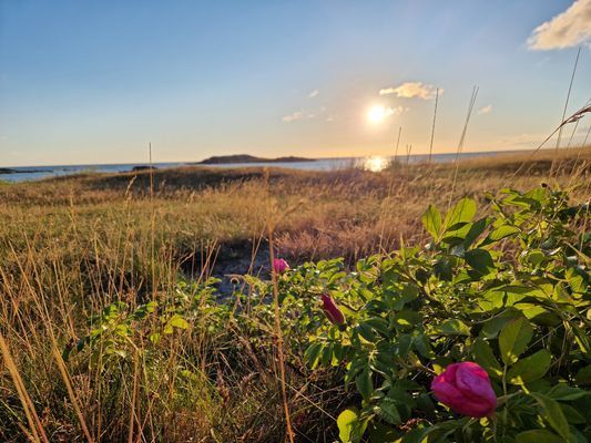Ljus & mysig sommarstuga, 6 (+2) bäddar - Bild 23