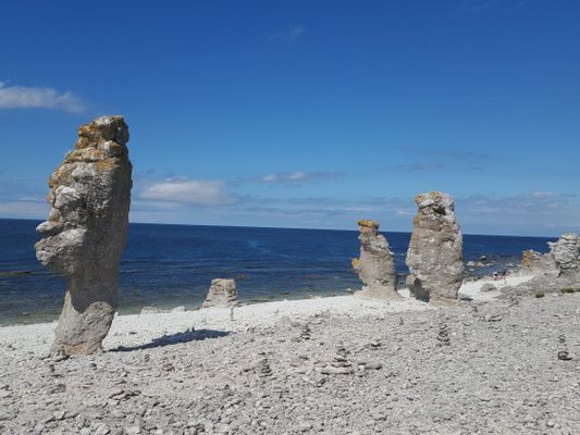Raukarna