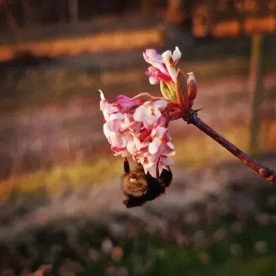 Bild 3 på Lilla gäststugan