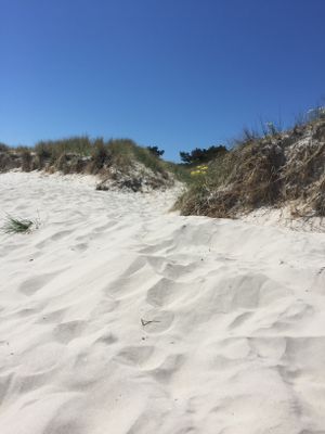 Boende i Borrby, Österlen - Bild 18