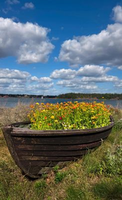 Fantastiskt skärgårdsställe - Bild 9