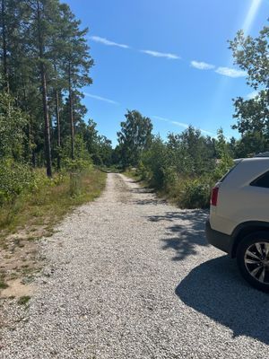 Grusvägen in till husen