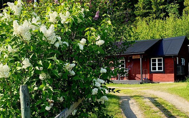 Bild 4 på Svensk stuga Lagertha, vackert belägen.