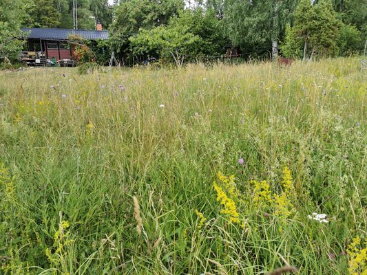 Mysig stuga på Rådmansö