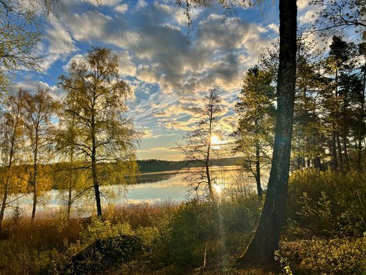Mysig stuga i Roslagen, nära Öregrund & Östhammar - Bild 87