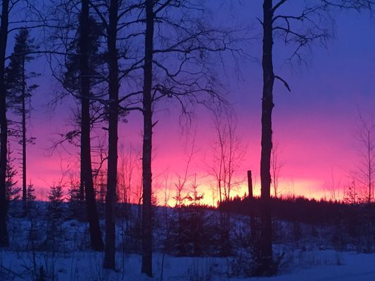 Stuga 7 km till Järvsöbacken - Bild 6