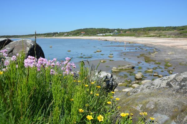 Charmig, äldre stuga i lantligt läge nära havet. - Bild 18