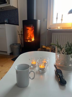 Fjällstuga: kamin & vedeldad bastu - Bild 12