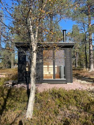 Fjällstuga: kamin & vedeldad bastu