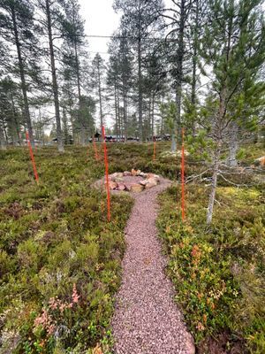 Fjällstuga: kamin & vedeldad bastu - Bild 19