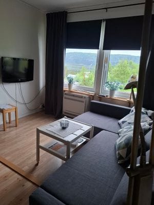 Bild 3 på Fjällnära, praktiskt alla årstider, prisvärt