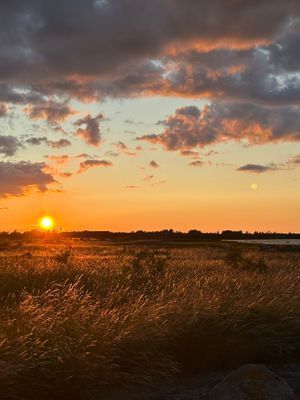 Nybyggd mysig stuga - Bild 15