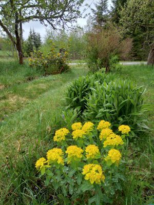 Timrad stuga nära sjö och bad - Bild 26