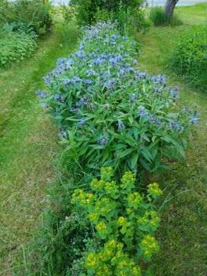 Timrad stuga nära sjö och bad - Bild 24