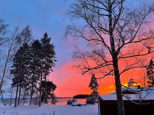 Sommar idyll - Bild 12