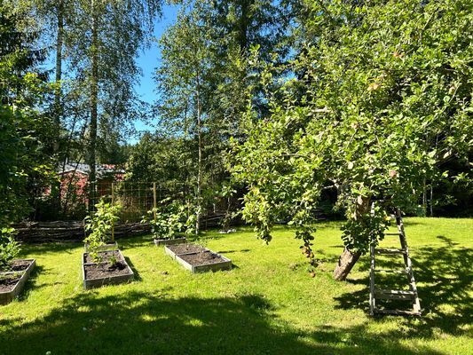 Mysig stuga i Roslagen, nära Öregrund & Östhammar - Bild 47
