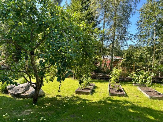 Mysig stuga i Roslagen, nära Öregrund & Östhammar - Bild 46