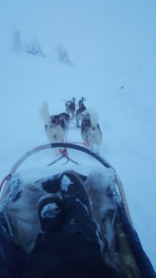 Mysigt fjällhus i Jämtland - Bild 29