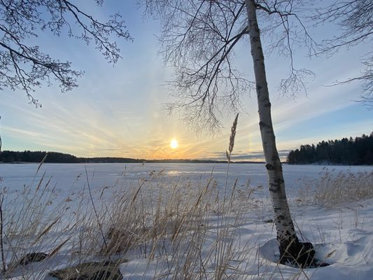 Mysig stuga i Roslagen, nära Öregrund & Östhammar - Bild 93