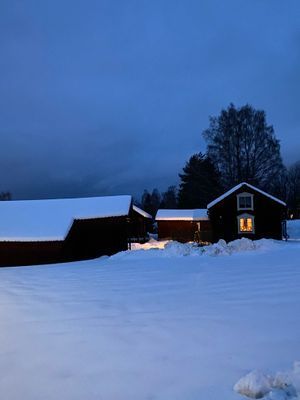 Genuin Orsagård