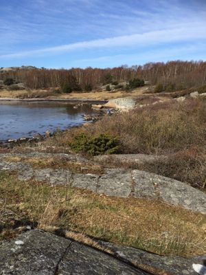 Trevlig stuga uthyres på Vrångö - Bild 13