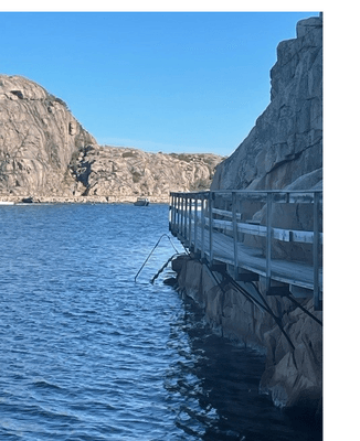 Modernt sommarhus i Bohusläns vackra skärgård - Bild 41