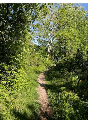 Modernt sommarhus i Bohusläns vackra skärgård - Bild 31