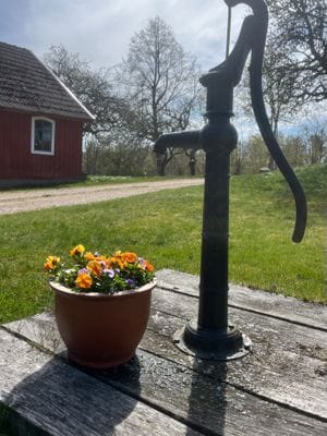 Gårdsbild.