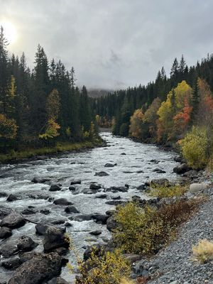 Ski in/out, 8 bäddar, Hovde, Bydalen - Bild 80