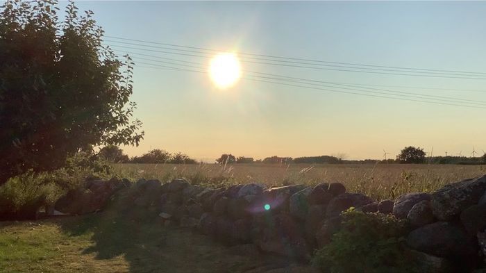 Sommar idyll på Sydvästra Öland - Bild 12