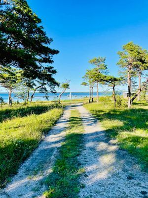 Kort promenad från huset ned till badbrygga