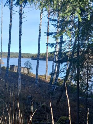 Hundvänligt hus nära sjön, inhägnat Värmland - Bild 6