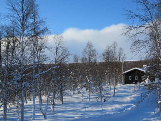 Bild 3 på Mysig fjällstuga i Bruksvallarna